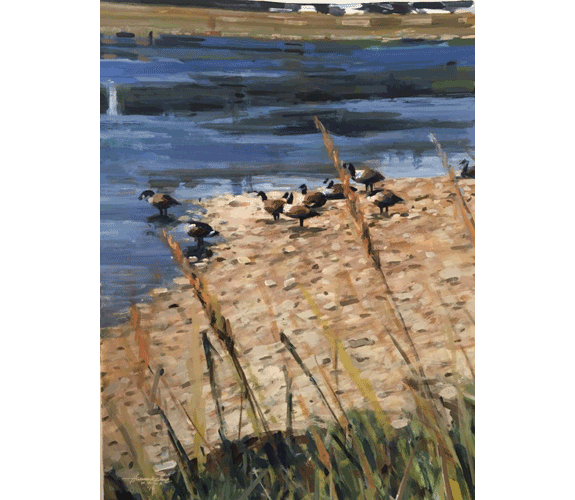 "Capitol Lake Geese" by John Hannukaine
